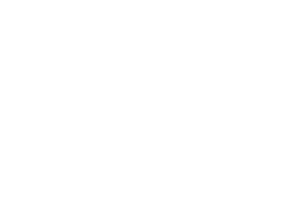 al qaed translation l transparent